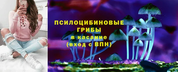 твердый Нея