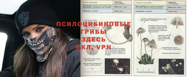 экстази Нефтегорск