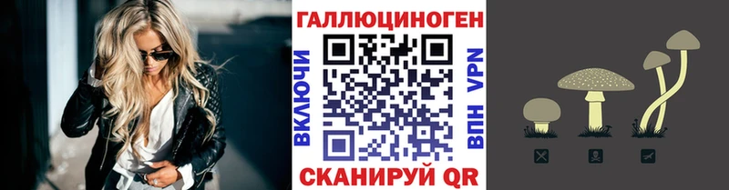 даркнет клад хочу наркоту MEGA ONION Кисловодск Псилоцибиновые грибы мухоморы